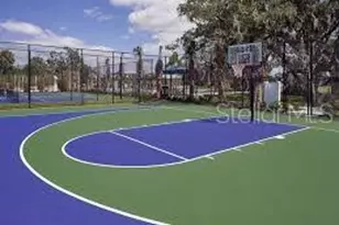 7329 Boggy Crk Pl, Parrish, FL 34219 - Photo 50