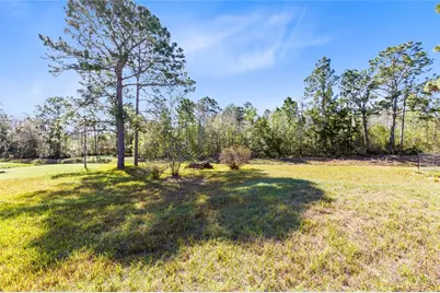 19562 Majestic Street, Orlando, FL 32833 - Photo 30