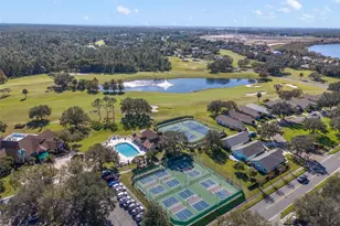 8002 Arcadian Ct, Mount Dora, FL 32757 - Photo 48