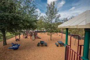 3715 Safflower Terrace, Oviedo, FL 32766 - Photo 38