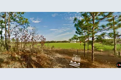 000 66th Pl. NE, Bronson, FL 32621 - Photo 6