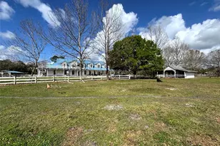 31243 Bear Pond Dr, Sorrento, FL 32776 - Photo 18