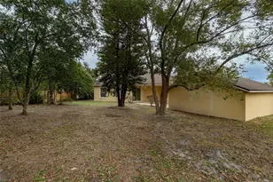 414 E 5th Ave, Windermere, FL 34786 - Photo 34