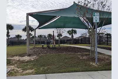 384 Citrus Pointe Drive, Davenport, FL 33837 - Photo 34