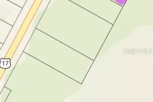 Hwy 17 92 N, Davenport, FL 33837 - Photo 1