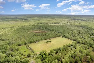 4300 Justa Rd, Mims, FL 32754 - Photo 56