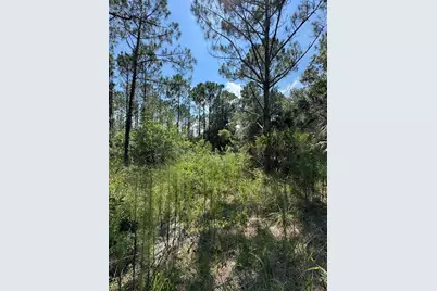 4300 Justa Road, Mims, FL 32754 - Photo 8