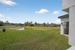 20054 Nob Oak Ave, Tampa, FL 33647 - Photo 2