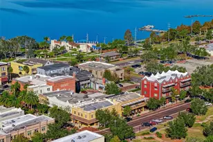 1321 Blue Daze Ln, Eustis, FL 32726 - Photo 46