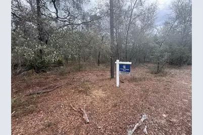 0 SE 3rd Street Street, Interlachen, FL 32148 - Photo 2
