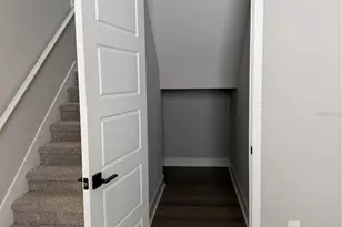 5106 Railroad Vine Aly, Winter Garden, FL 34787 - Photo 8