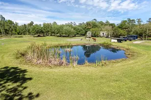 2321 Waccassa St, Geneva, FL 32732 - Photo 2