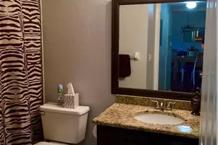 14049 Fairway Island Dr, Orlando, FL 32837 - Photo 12