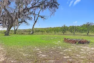 17331 County Rd 33, Groveland, FL 34736 - Photo 26