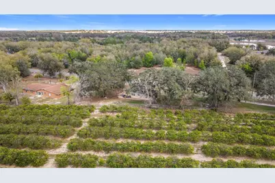 17331 County Road 33, Groveland, FL 34736 - Photo 32