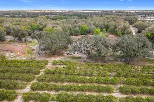 17331 County Rd 33, Groveland, FL 34736 - Photo 32