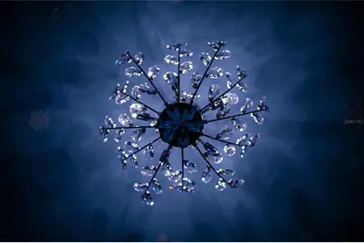 7336 Oakmoss Loop, Davenport, FL 33837 - Photo 54