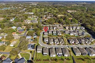 1131 Dora Parc Ln, Mount Dora, FL 32757 - Photo 50