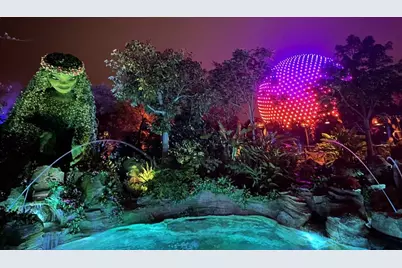 8512 Sunrise Key Drive, Kissimmee, FL 34747 - Photo 60