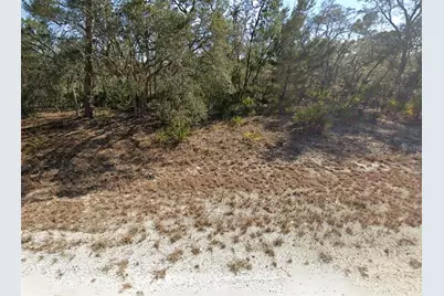 3218 Gossamer Avenue, Lake Placid, FL 33852 - Photo 1