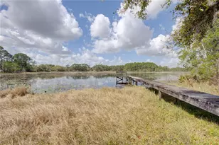 290 Mitnik Dr, Deltona, FL 32738 - Photo 44