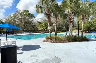 15020 Eaglerise Dr, Lithia, FL 33547 - Photo 38