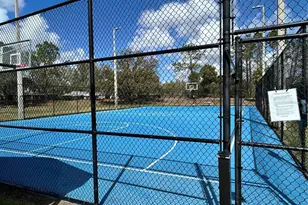 15020 Eaglerise Dr, Lithia, FL 33547 - Photo 34