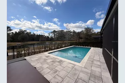 12640 Salomon Cove Drive, Windermere, FL 34786 - Photo 4