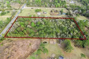 541 E Osceola Rd, Geneva, FL 32732 - Photo 4