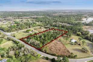 541 E Osceola Rd, Geneva, FL 32732 - Photo 4