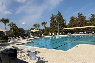 12804 Salomon Cove Dr, Windermere, FL 34786 - Photo 32