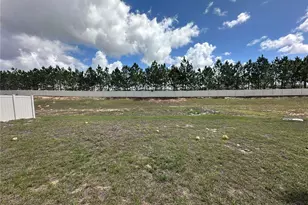 1292 Sugarwood St, Davenport, FL 33837 - Photo 20