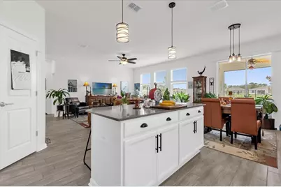 33655 Sky Blossom Circle, Leesburg, FL 34788 - Photo 18