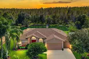 18408 Bittern Ave, Lutz, FL 33558 - Photo 1