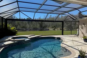 18408 Bittern Ave, Lutz, FL 33558 - Photo 30