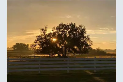 4015 Indigo Road, Groveland, FL 34736 - Photo 4