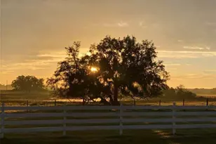 4015 Indigo Rd, Groveland, FL 34736 - Photo 4