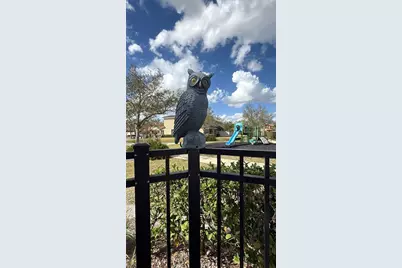 1996 Leather Fern Drive, Ocoee, FL 34761 - Photo 38