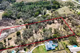 Estes (Highland Dr ) Rd, Eustis, FL 32726 - Photo 1