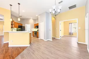 3447 Mt Hope Loop, Leesburg, FL 34748 - Photo 46
