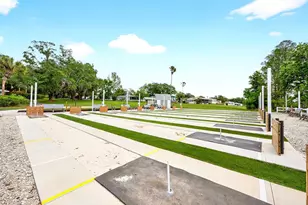 3447 Mt Hope Loop, Leesburg, FL 34748 - Photo 32