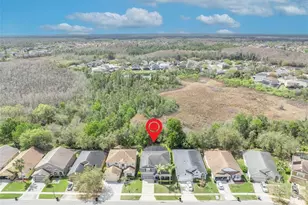 13431 Early Frost Cir, Orlando, FL 32828 - Photo 52