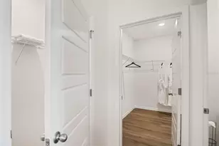 5297 Greenheart Ave, Mount Dora, FL 32757 - Photo 24