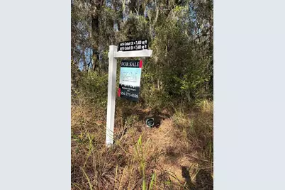 4416 Cobalt Street, Palatka, FL 32177 - Photo 4