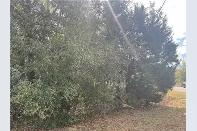 Tbd 94th Ave, Belleview, FL 34420 - Photo 8