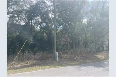 Tbd 94th Ave, Belleview, FL 34420 - Photo 6