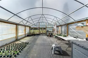 8704 Benoit Ave, Orlando, FL 32836 - Photo 40