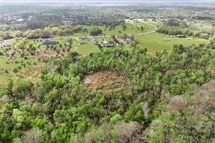 1330 Lake Mills Rd, Chuluota, FL 32766 - Photo 56