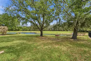 6407 Bridgecrest Dr, Lithia, FL 33547 - Photo 34