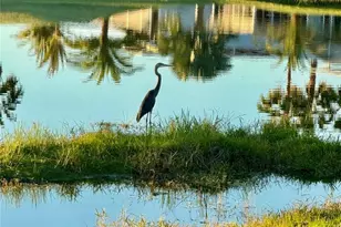 627 Arnold Palmer Dr, Davenport, FL 33837 - Photo 48